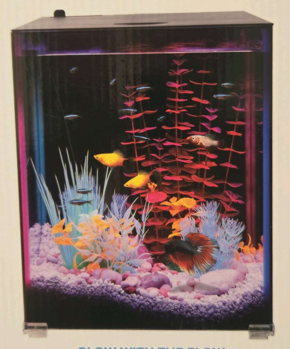 Aquarium complete