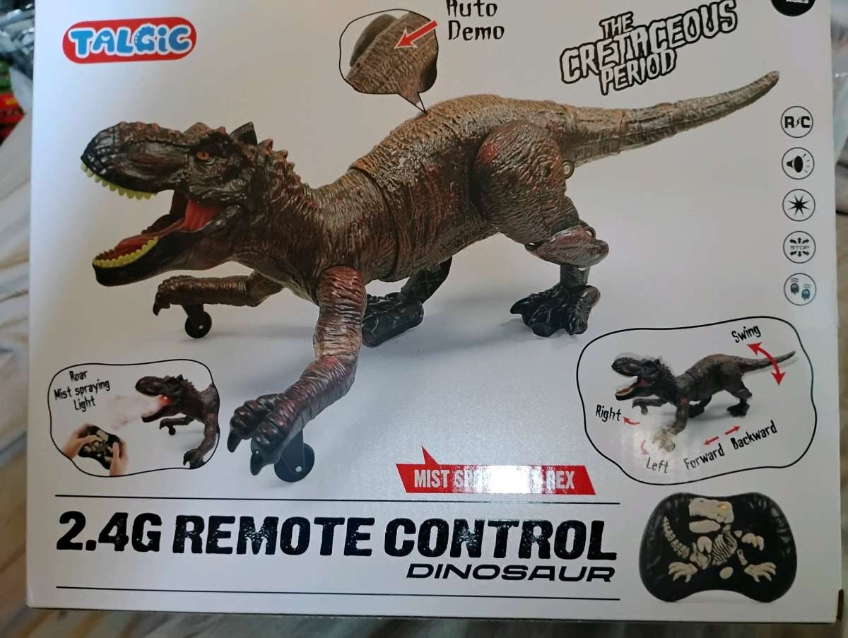 remote control dragon