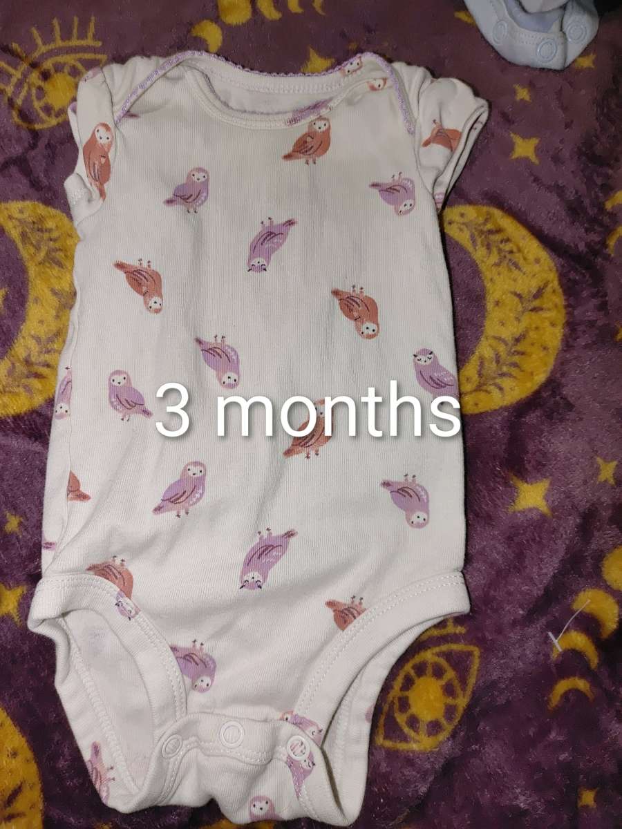 Carters infant girl onesies