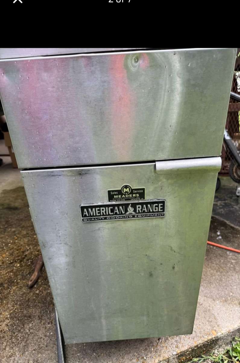 Commercial deep Fryer