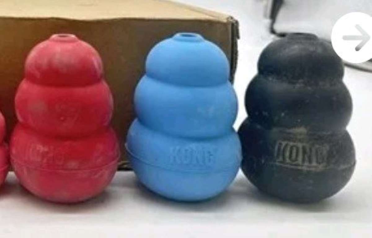 Kong dog toys