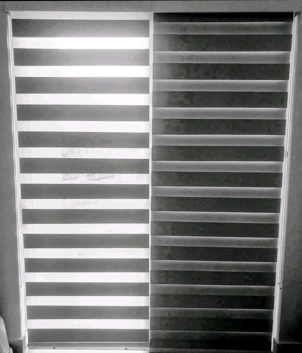 zebra Shades Roller shades screen o blackout blinds