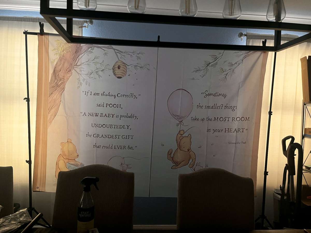 Winnie the pooh baby shower decorations