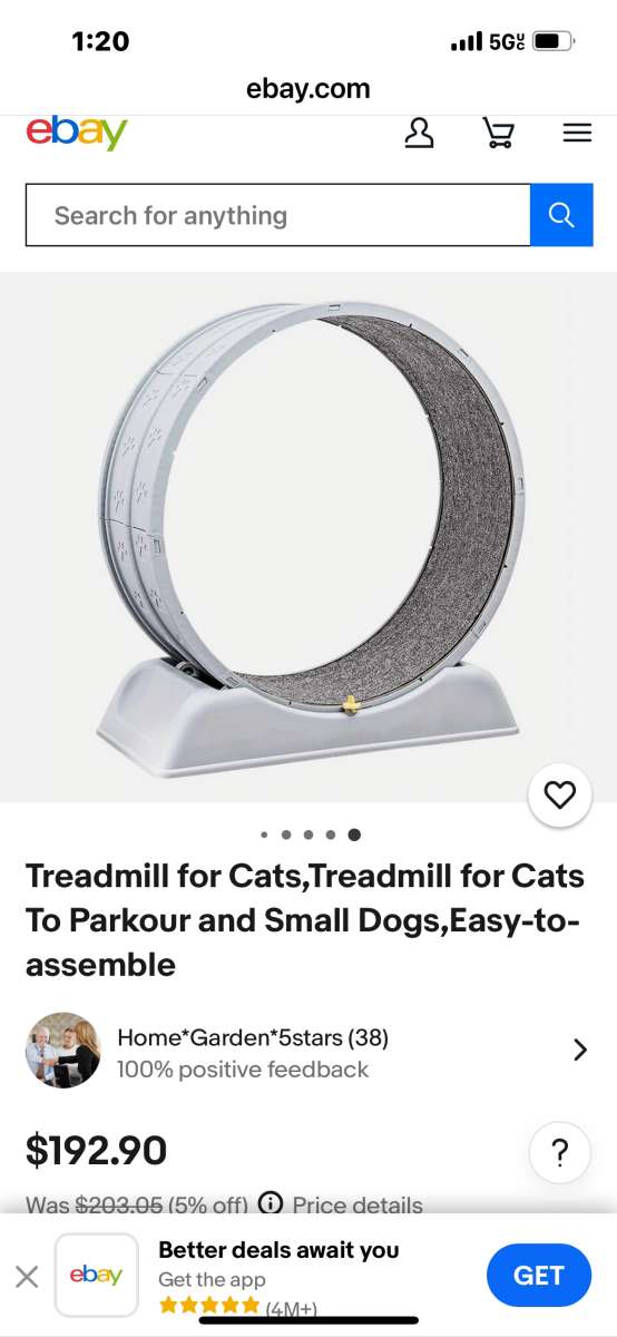 Cat Treadmill