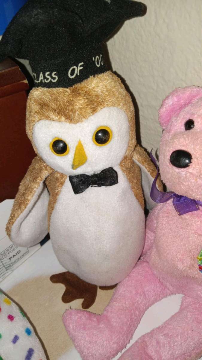 Rare and Valuable Beany Babies