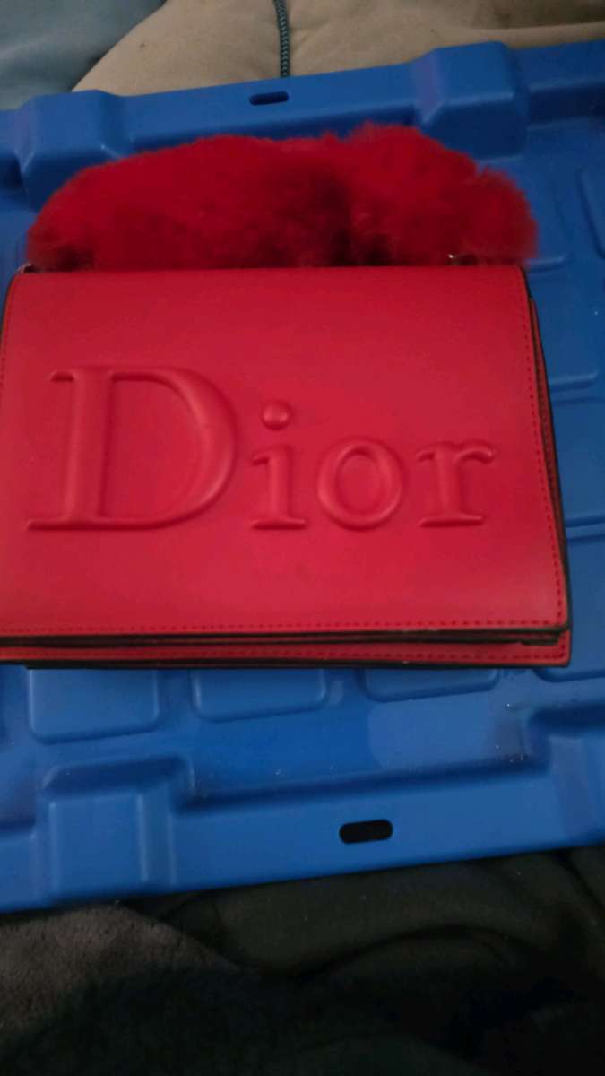 Dior Leather and fur 2 way bag