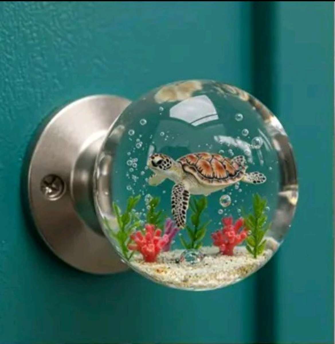 Doorknobs for cabinets and other areas Turtle and fish sold