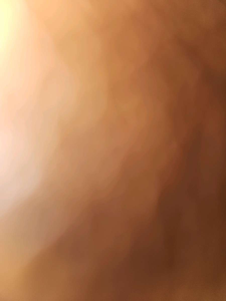 Orvis leather duffle bag