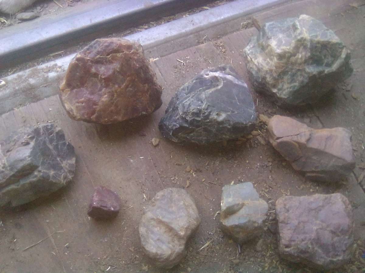 collectible decorative rocks