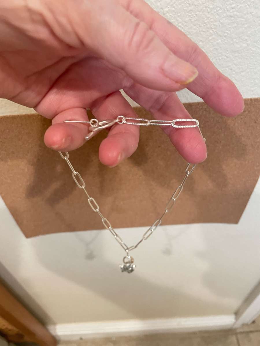 Popular necklace with charm holder and charms