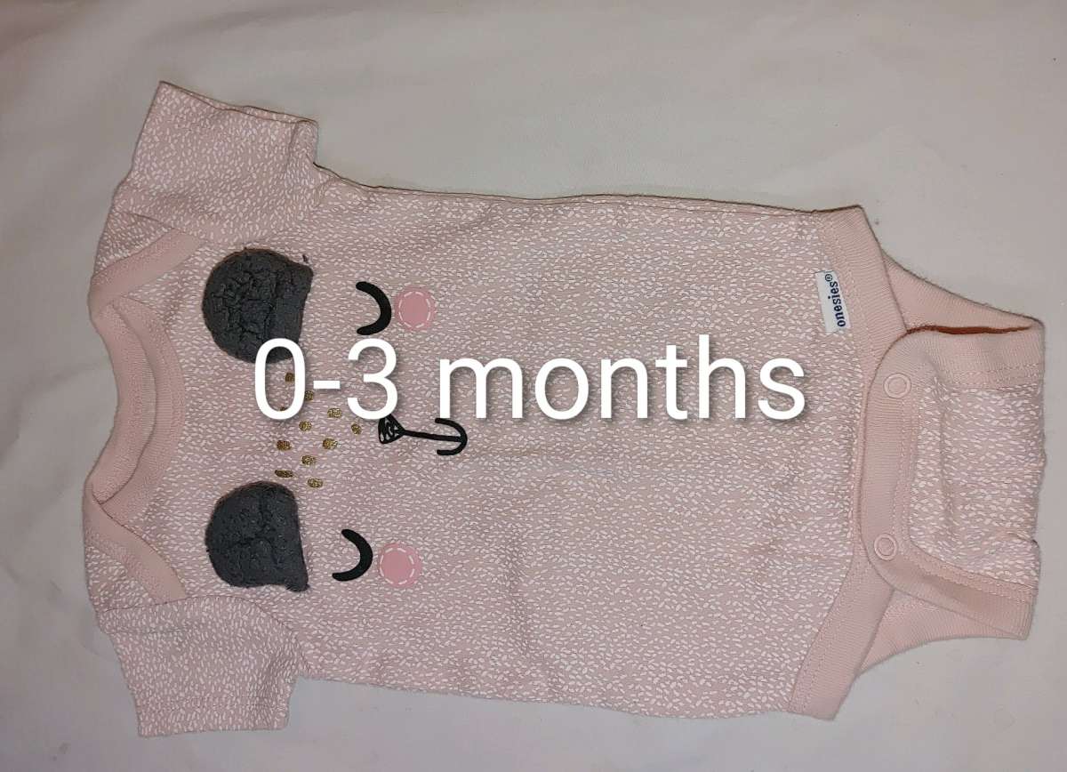 Carters infant girl onesies