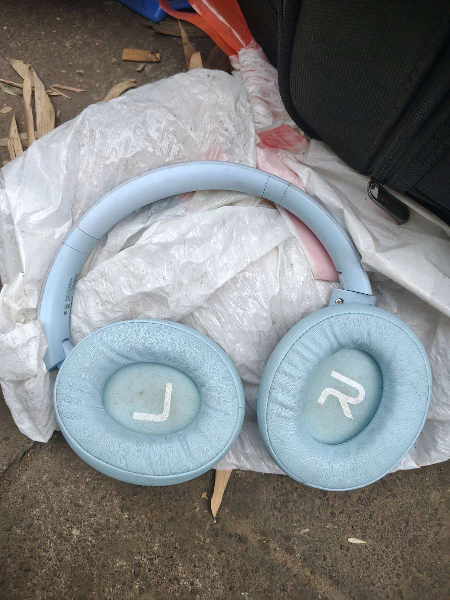 Blackstone Bluetooth Wireless Headphones