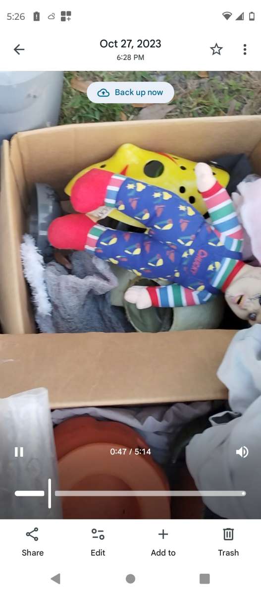 a whole tote full of Halloween and fall  items