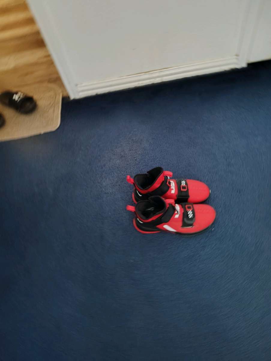 Nike LeBron shoes