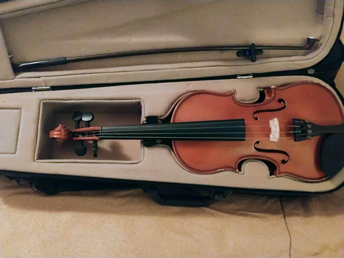 violins Cecilia an Palitino