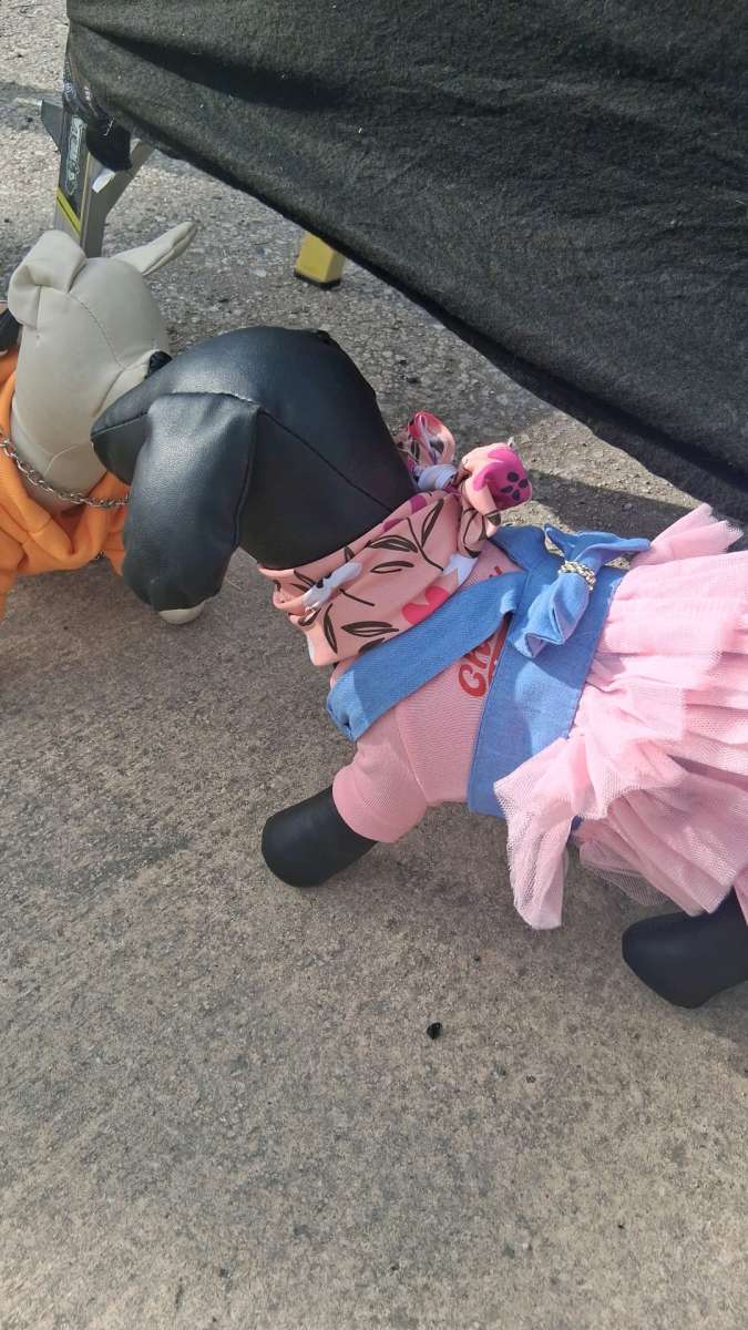pet clothing pet apparel pop up shop
