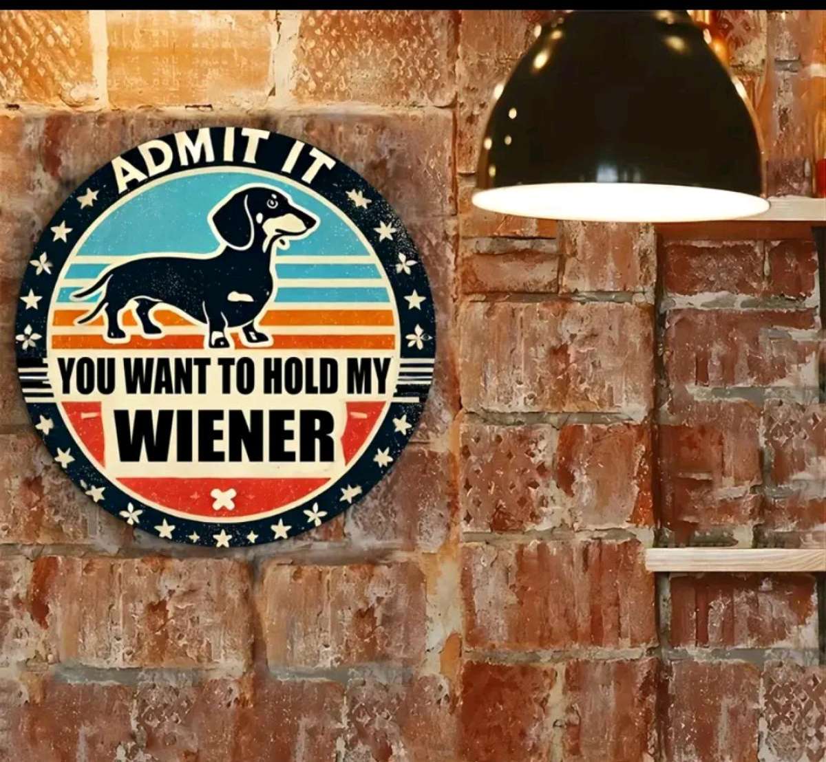 Funny Metal Dog Sign