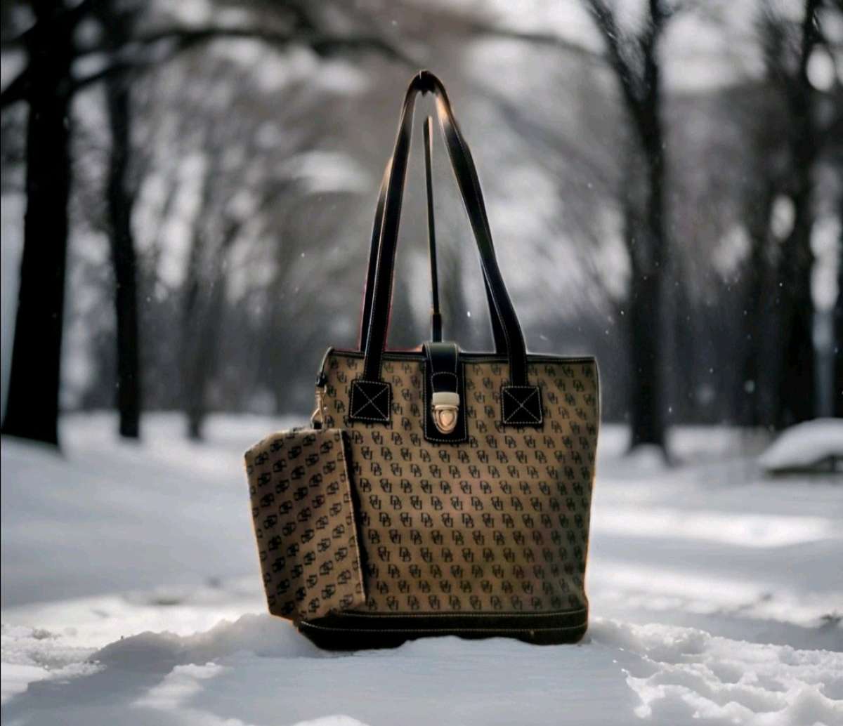 dooney and burke purse and wristlet