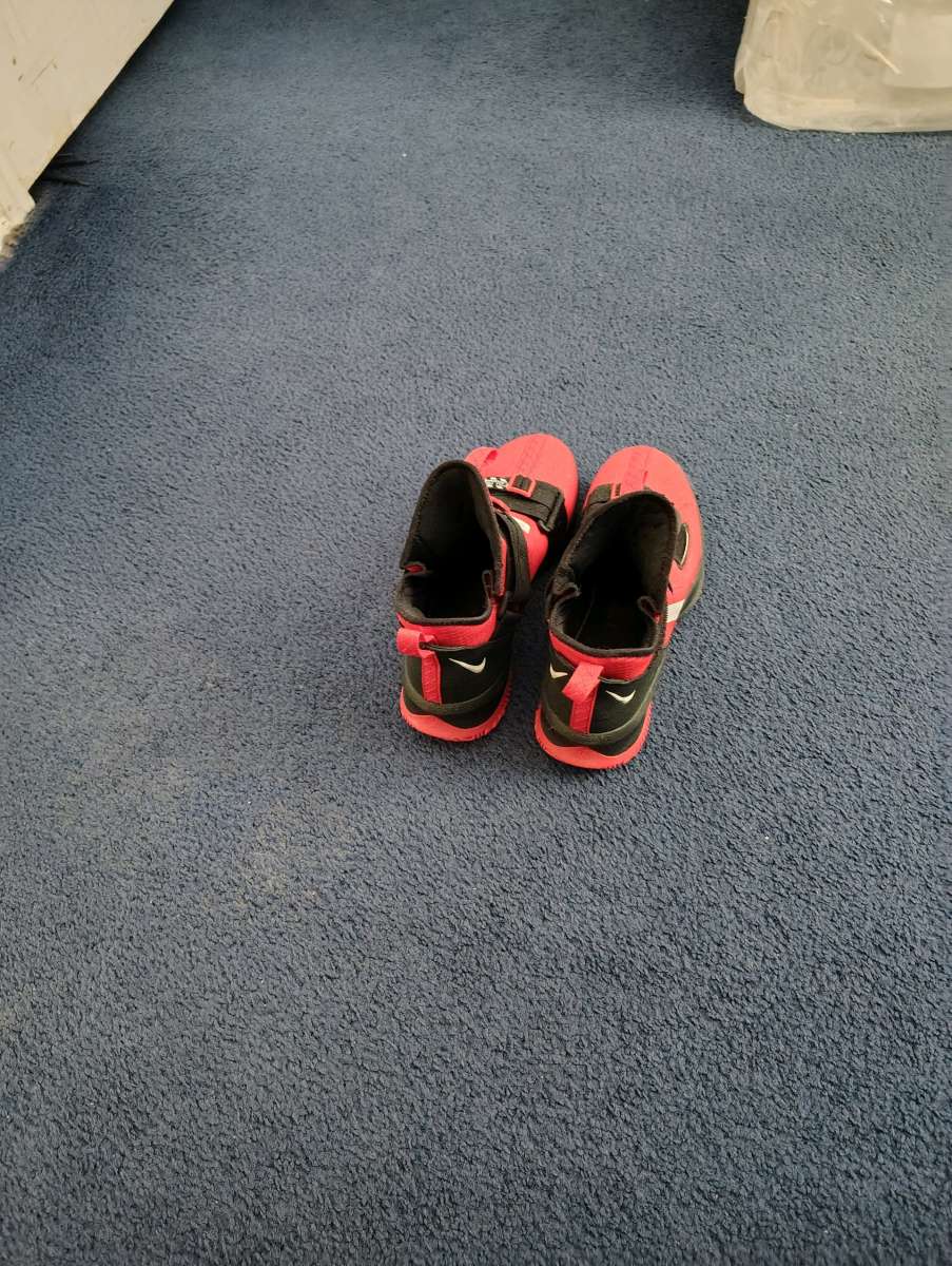 Nike LeBron shoes