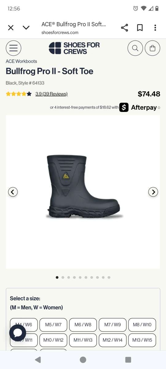 Bullfrog 2 Unisex Work boots