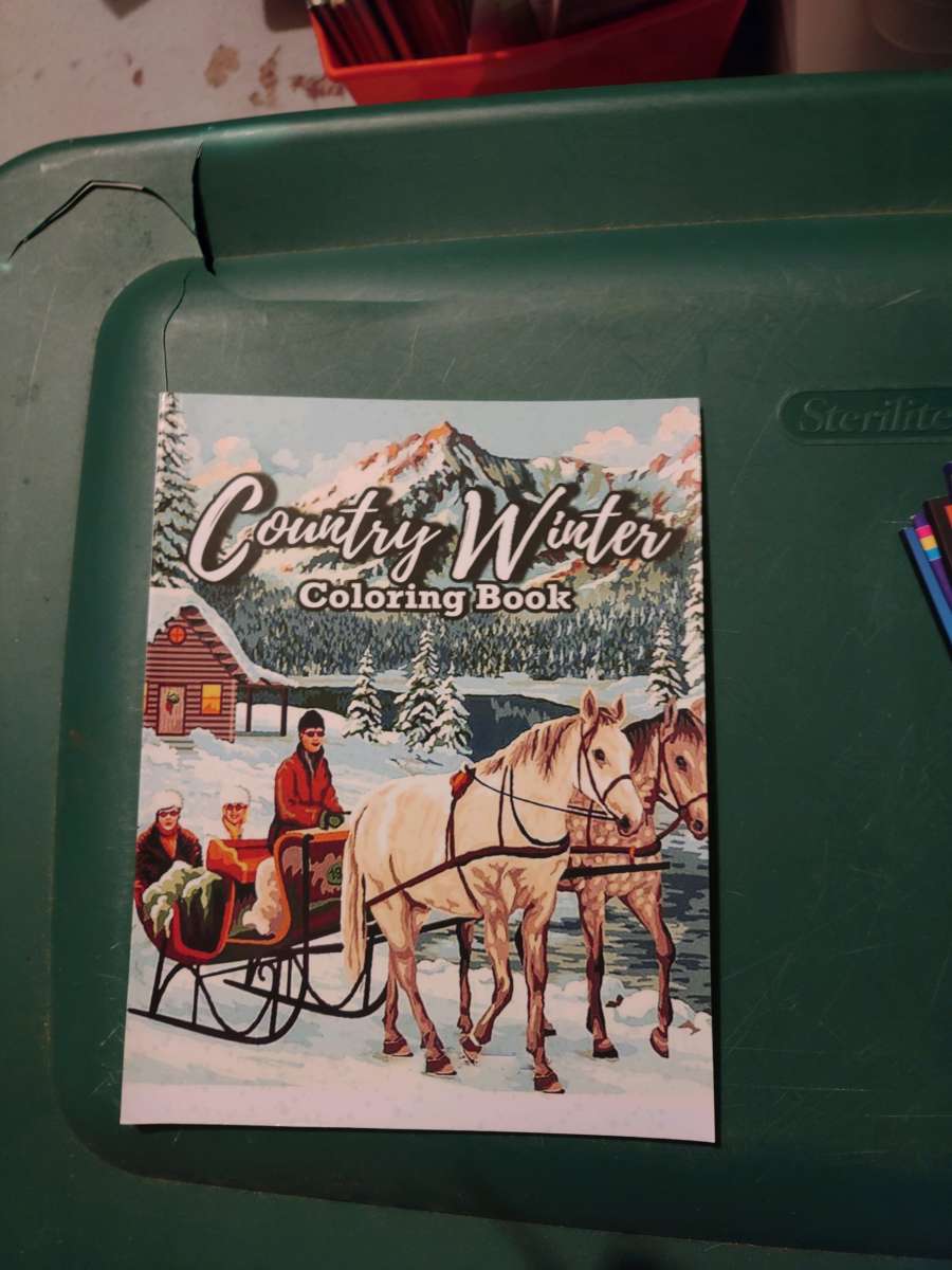 Country Winter coloring book