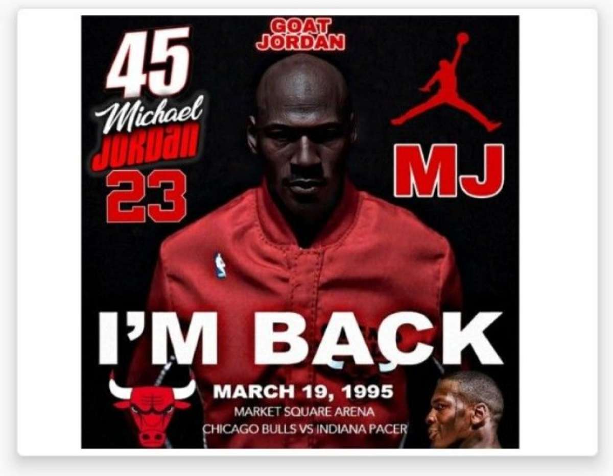 CHICAGO BULLS THE GOAT SELF CREATED ORIGINAL ART POSTER