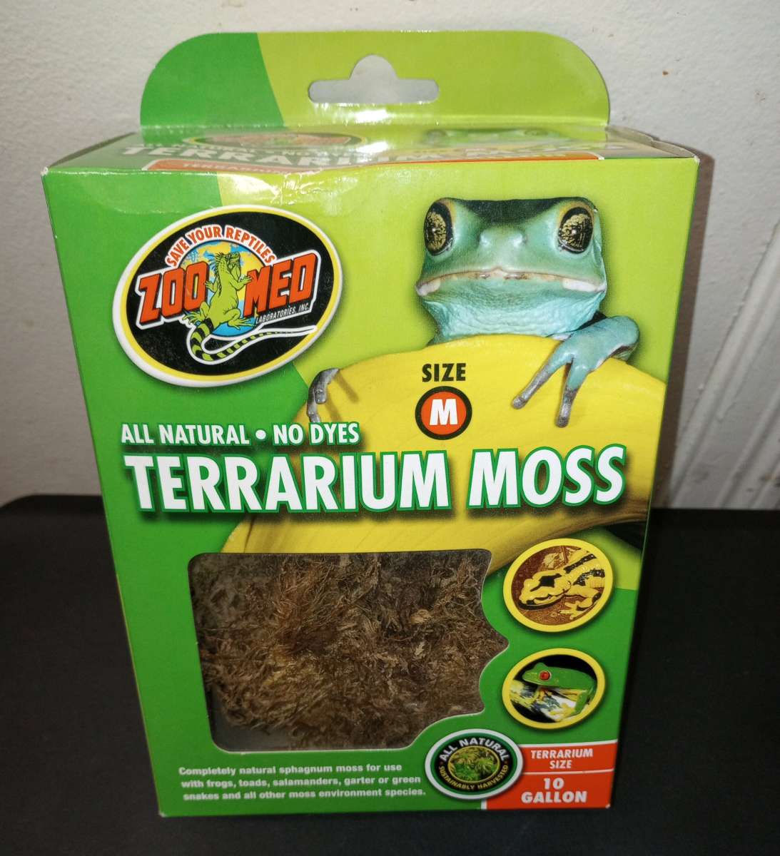 Terrarium moss