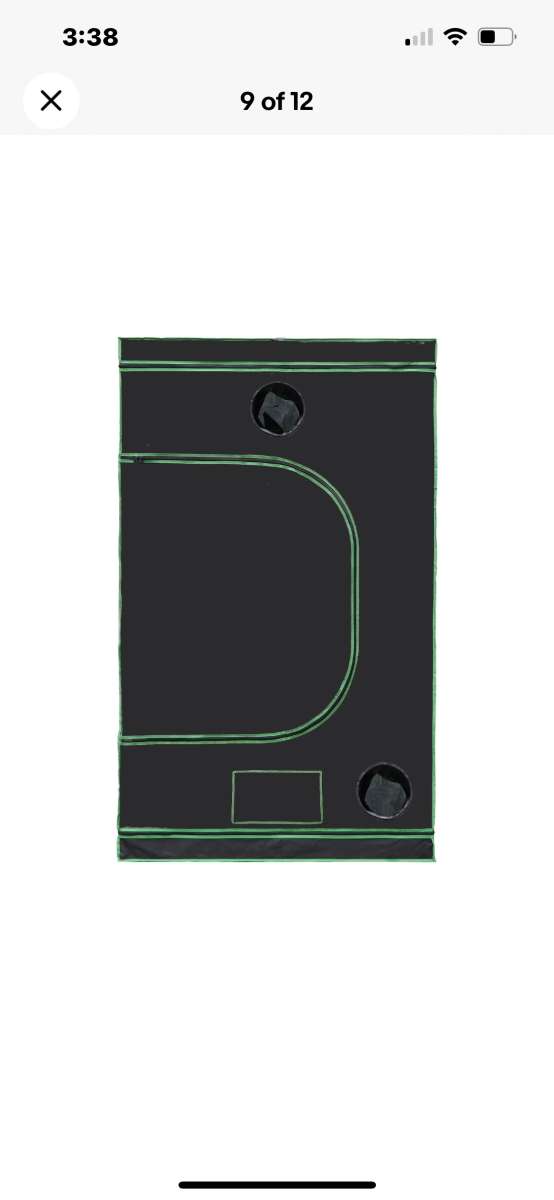 Grow Tent plants