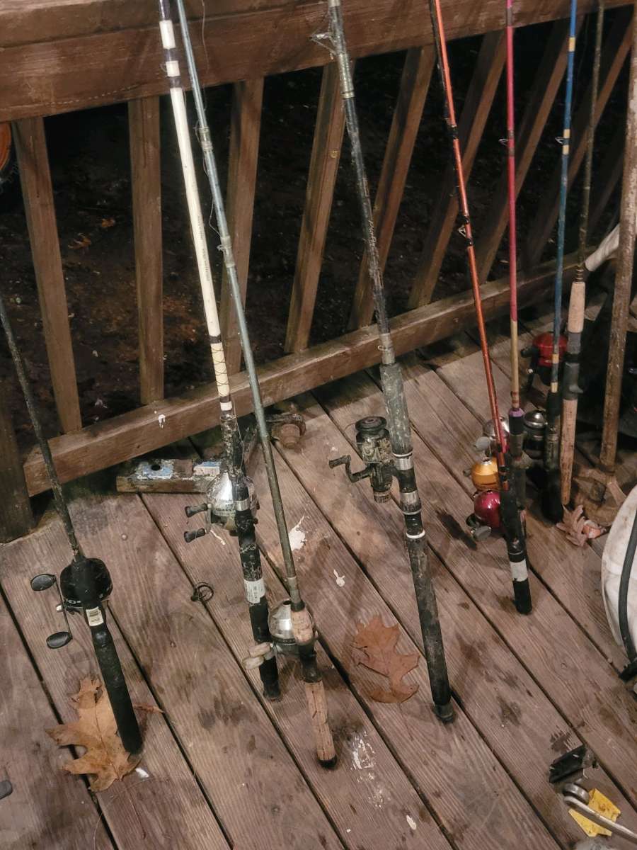 fishing rods and reels