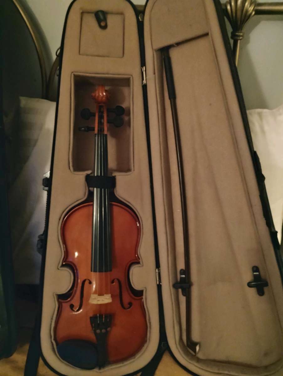 violins Cecilia an Palitino