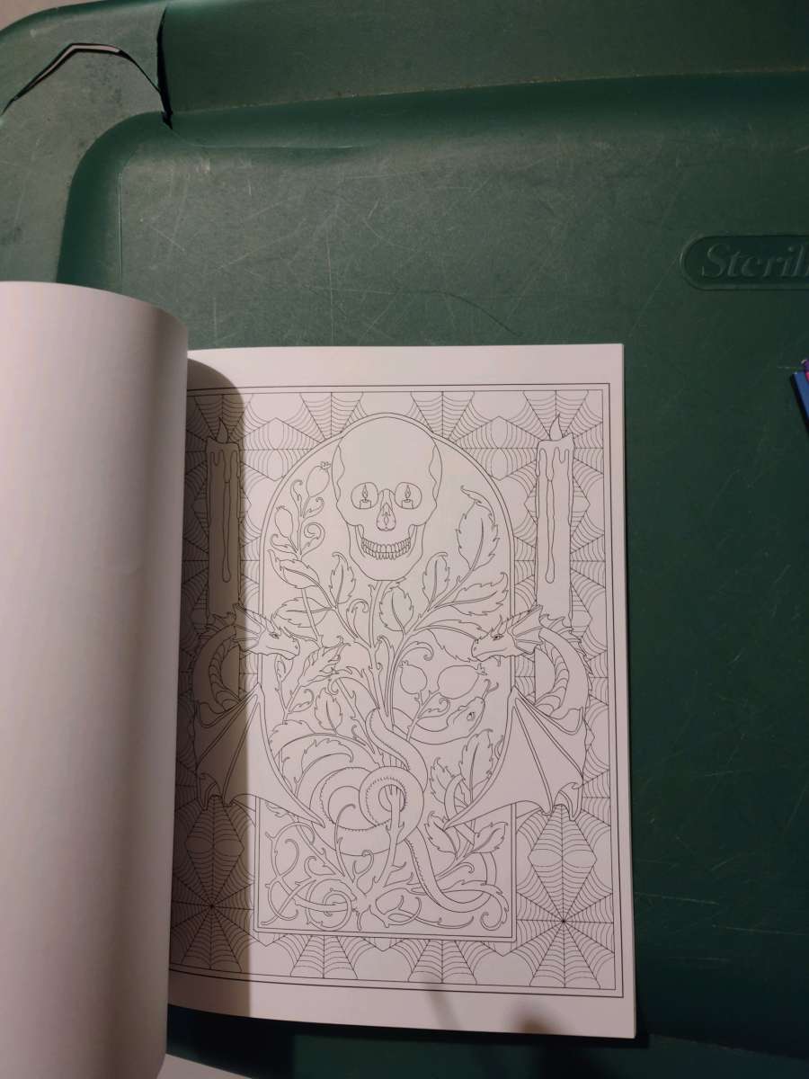Creative Haven Gothic Fantasy Coloring book