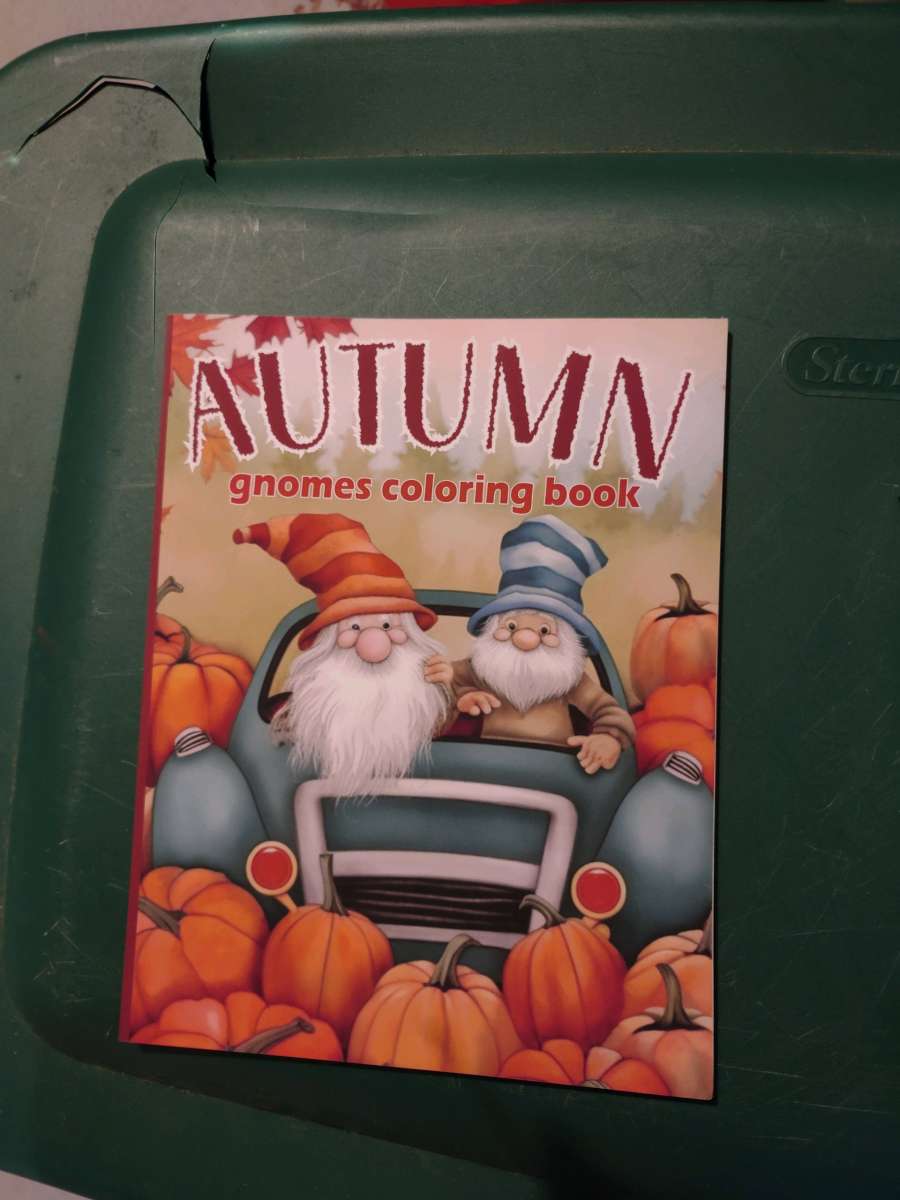 Autumn Gnomes Coloring book