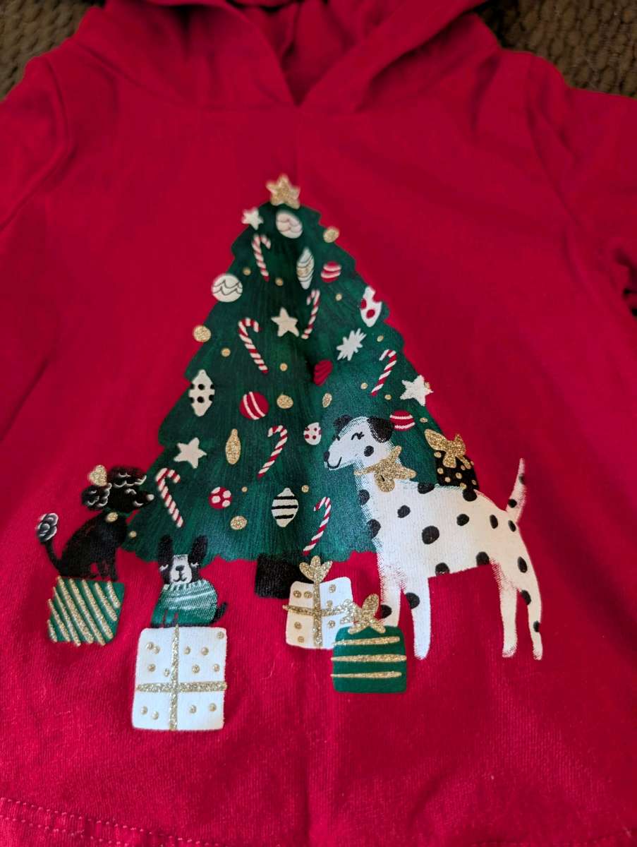 Baby Christmas outfit with hood