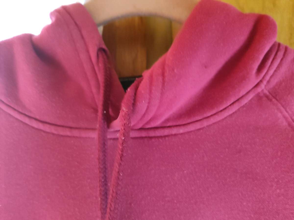 the north face hoodie womens large