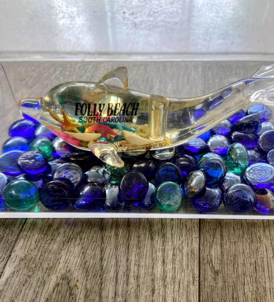 Folly Beach South Carolina Dolphin