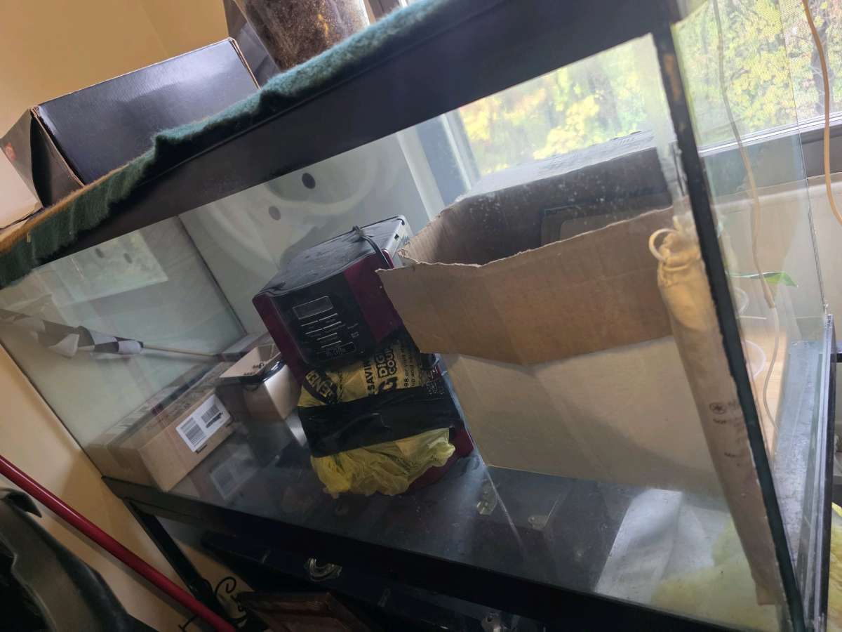 75 Gallon Reptile Tank