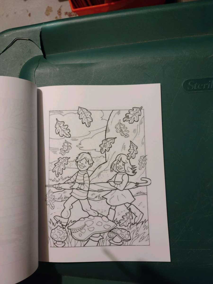 Country Winter coloring book