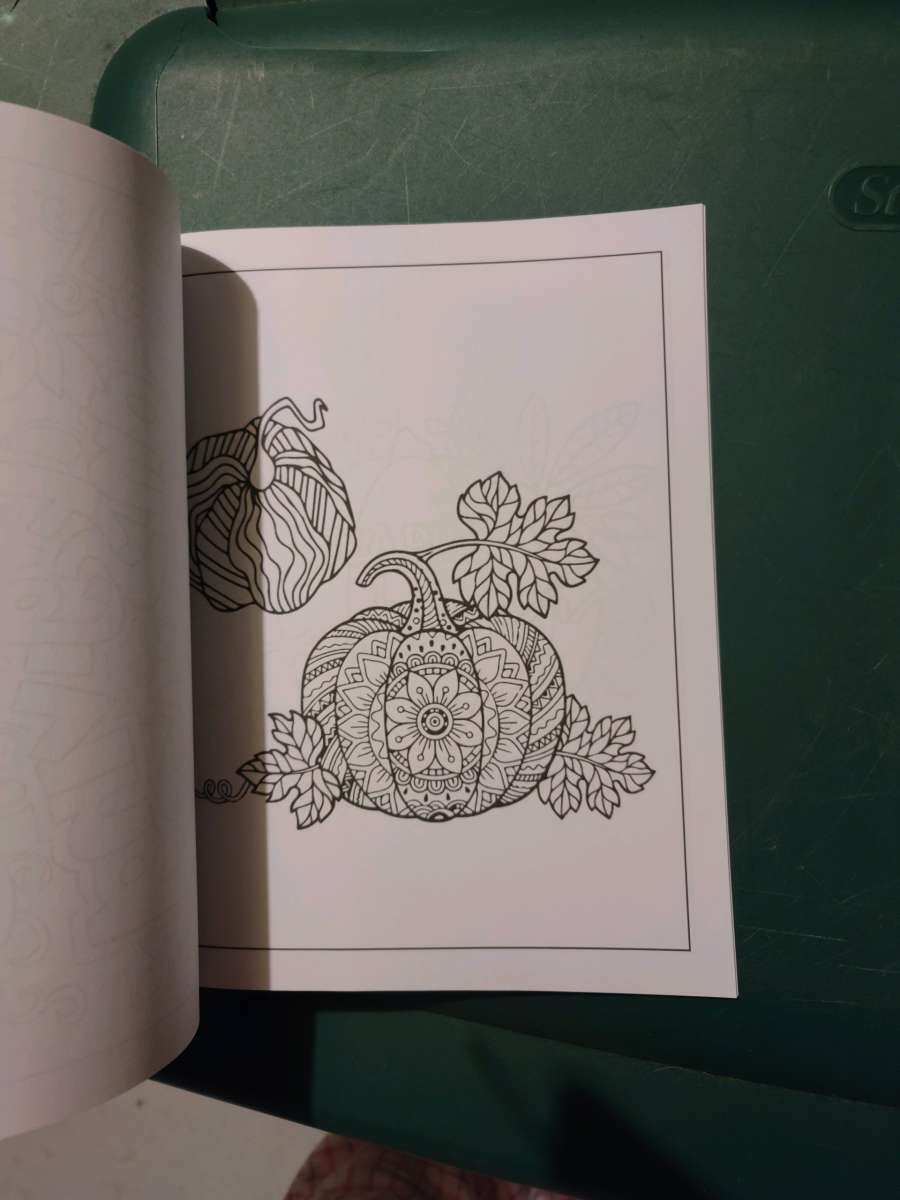 Thanksgiving coloring book