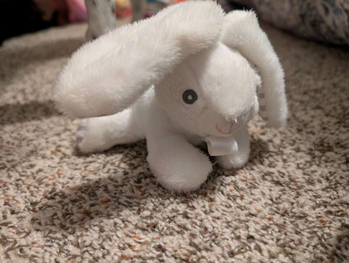 Plush rabbit pacifier holder