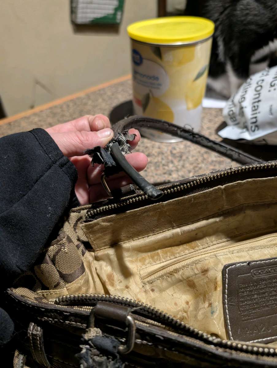 Coach bag style 1491