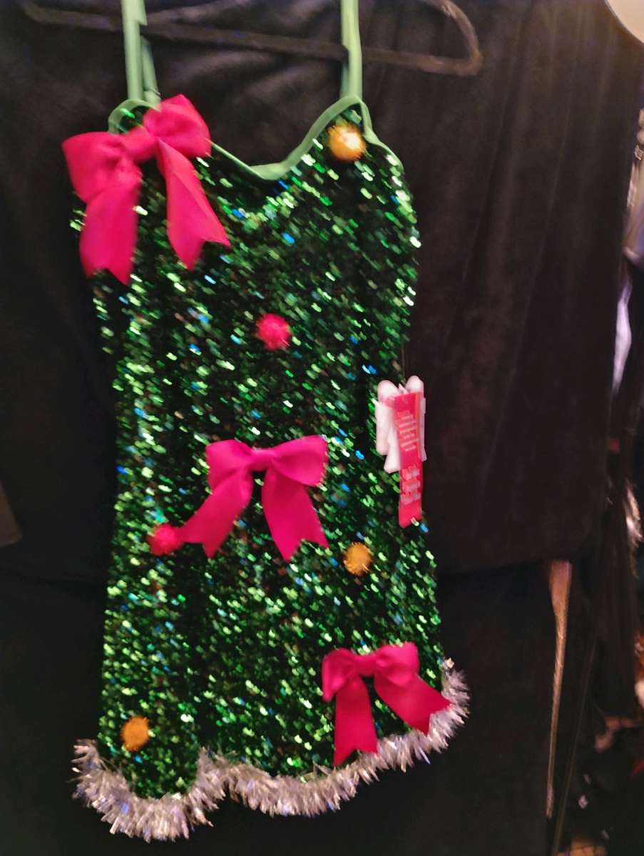 Brand New Christmas Dress