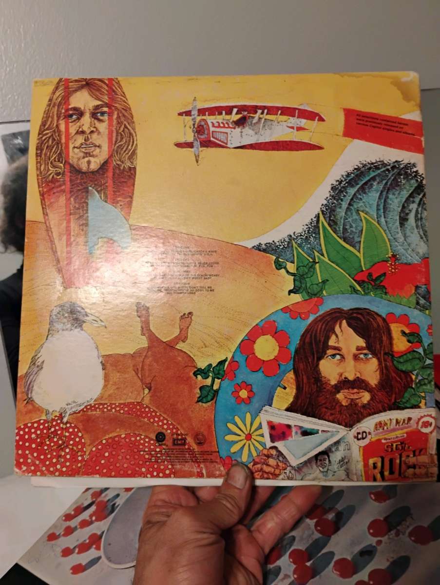 Old School record Beach boys endless Summer two record LP