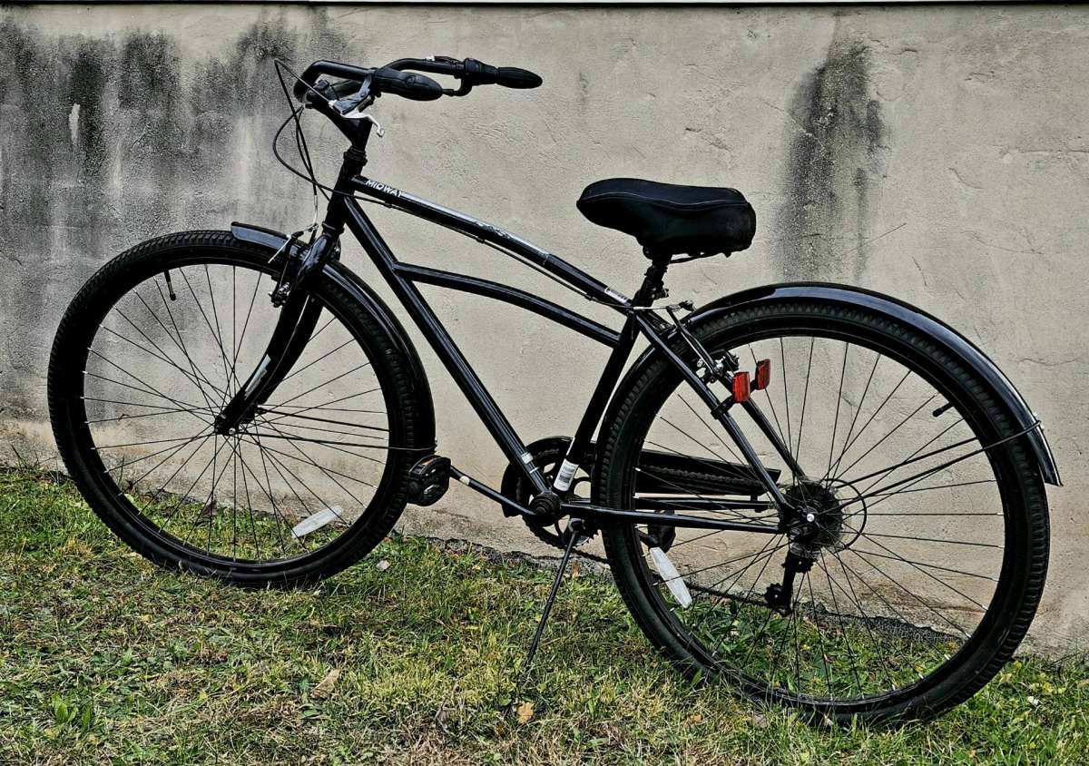 Schwinn midway cruiser