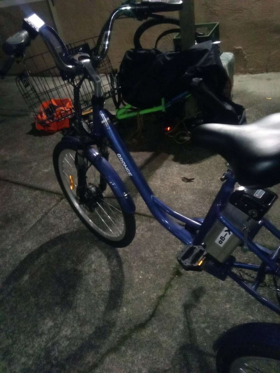 Electric Trike
