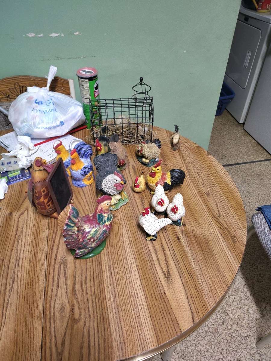 chickens and roosters