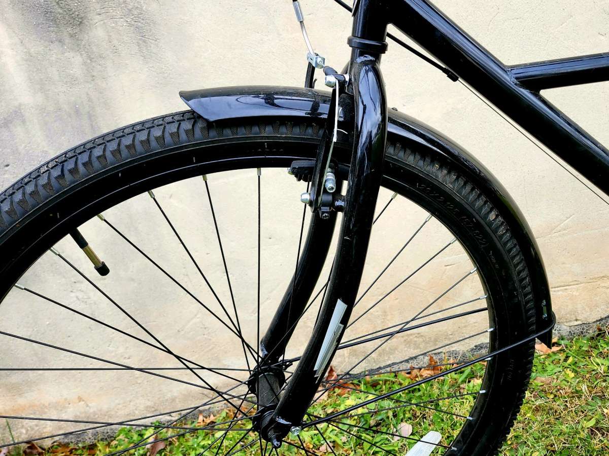 Schwinn midway cruiser