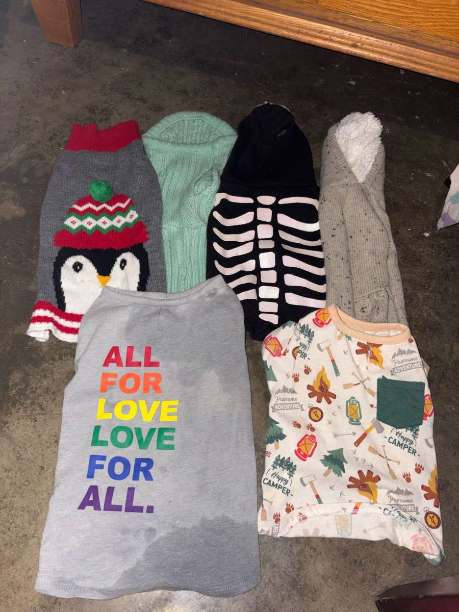 6 pairs of pets clothes