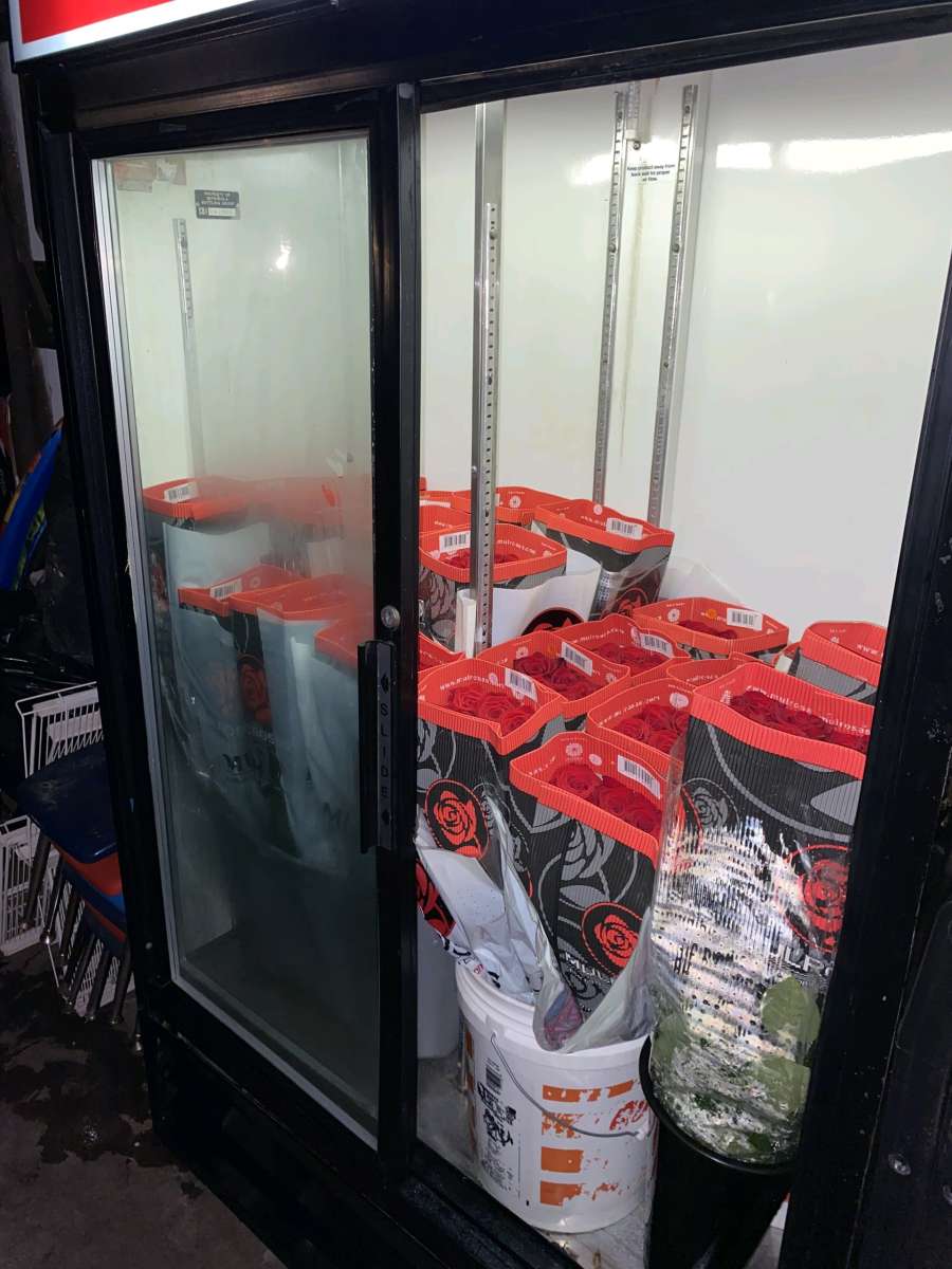 wholesale roses freedom