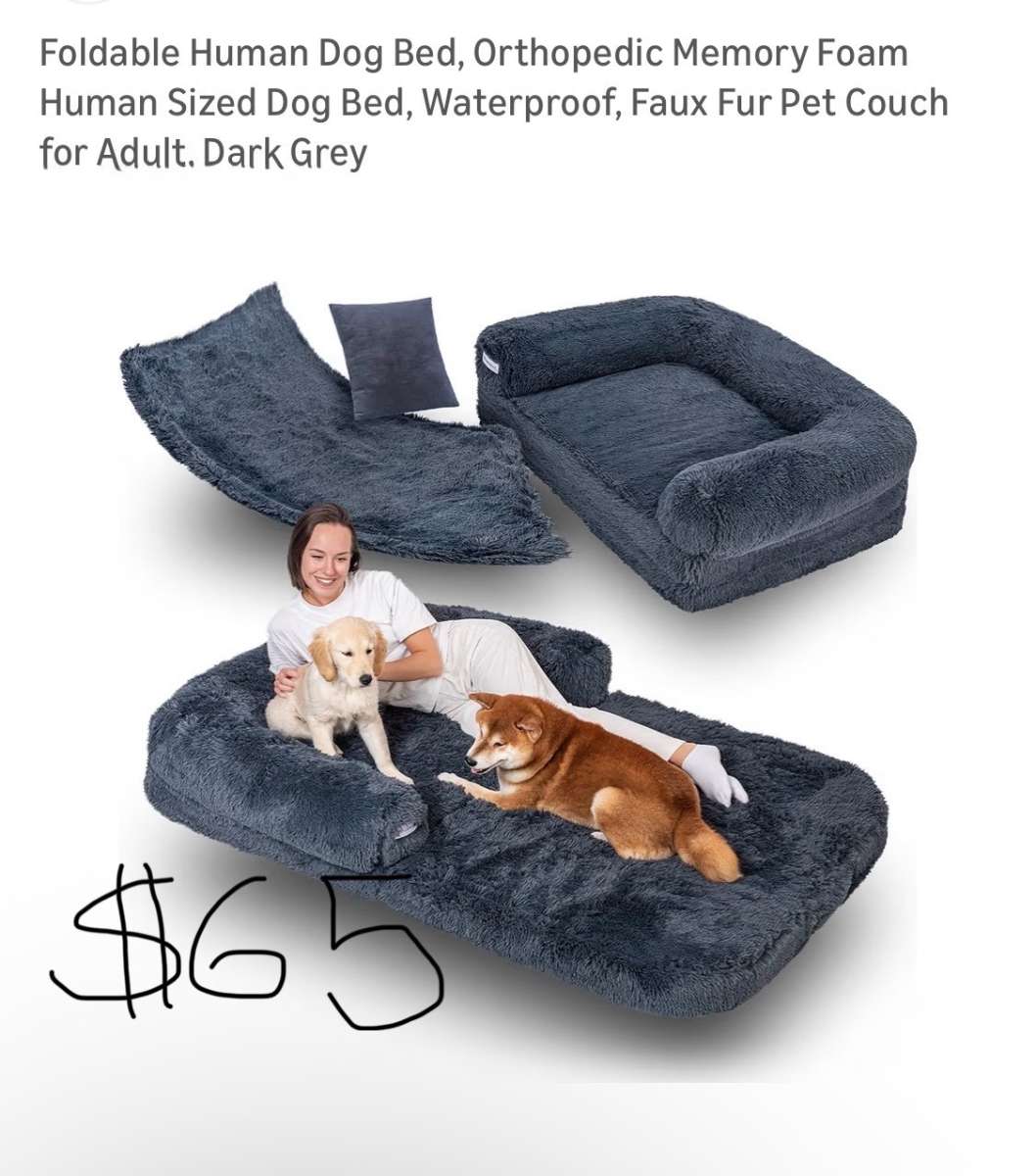dog beds