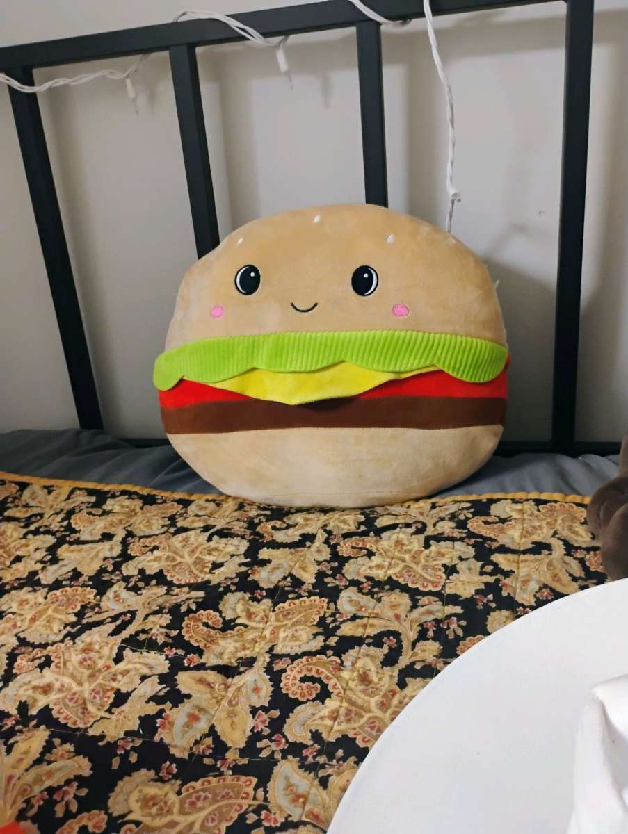 Squishmwllows Carl the cheeseburger